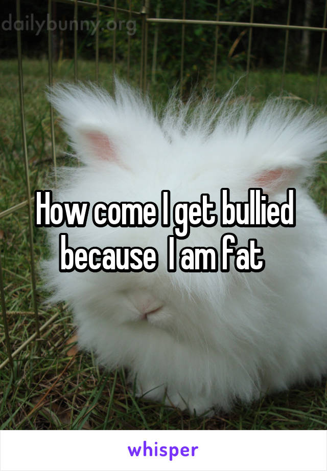 How come I get bullied because  I am fat 