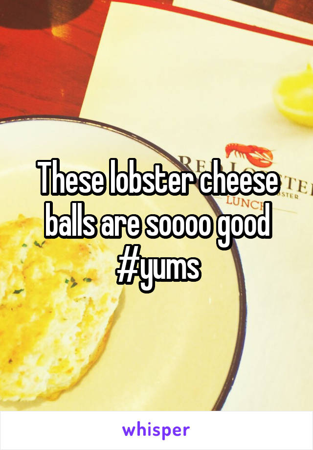 These lobster cheese balls are soooo good
#yums