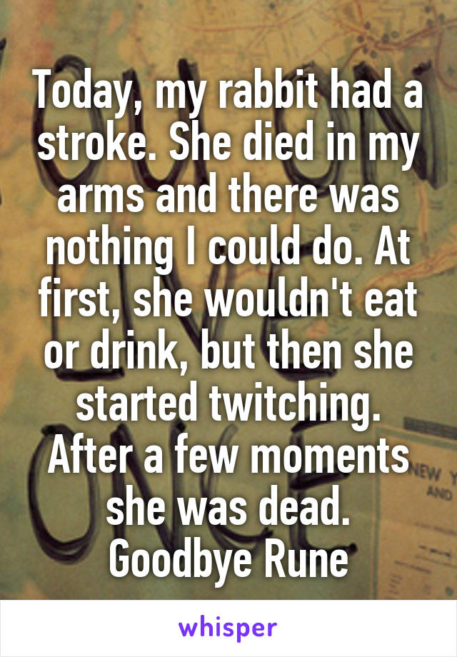 Today, my rabbit had a stroke. She died in my arms and there was nothing I could do. At first, she wouldn't eat or drink, but then she started twitching. After a few moments she was dead. Goodbye Rune