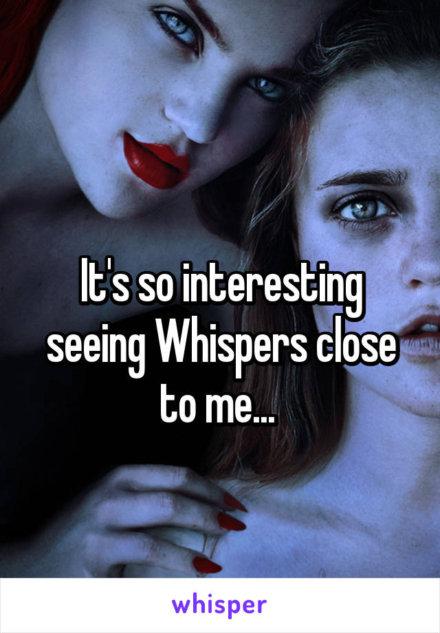 
It's so interesting seeing Whispers close to me... 