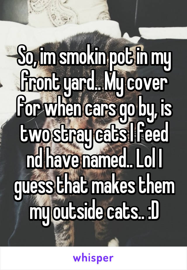 So, im smokin pot in my front yard.. My cover for when cars go by, is two stray cats I feed nd have named.. Lol I guess that makes them my outside cats.. :D