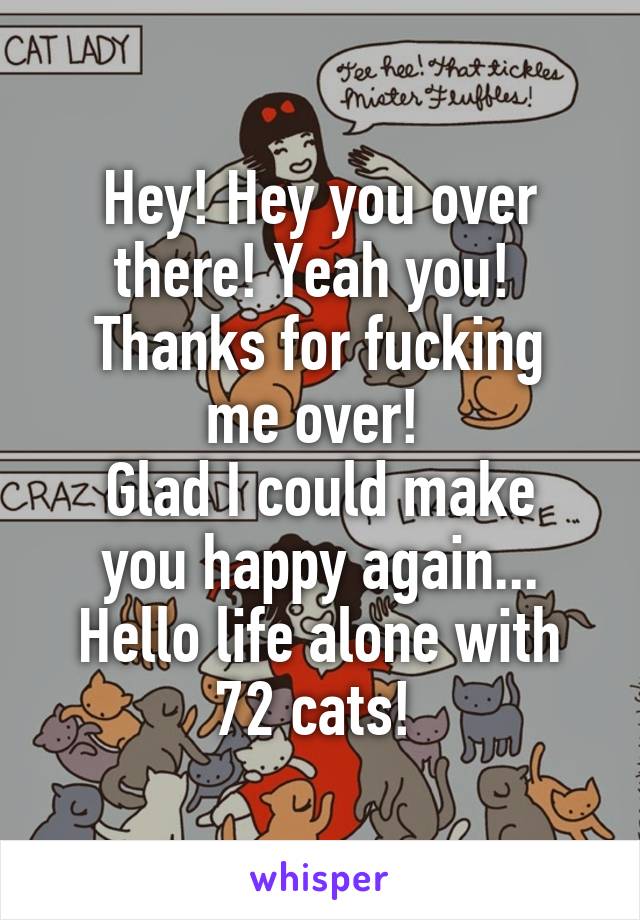 Hey! Hey you over there! Yeah you! 
Thanks for fucking me over! 
Glad I could make you happy again...
Hello life alone with 72 cats! 