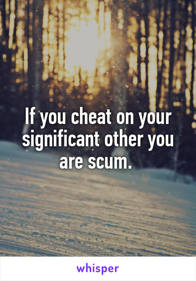 If you cheat on your significant other you are scum. 