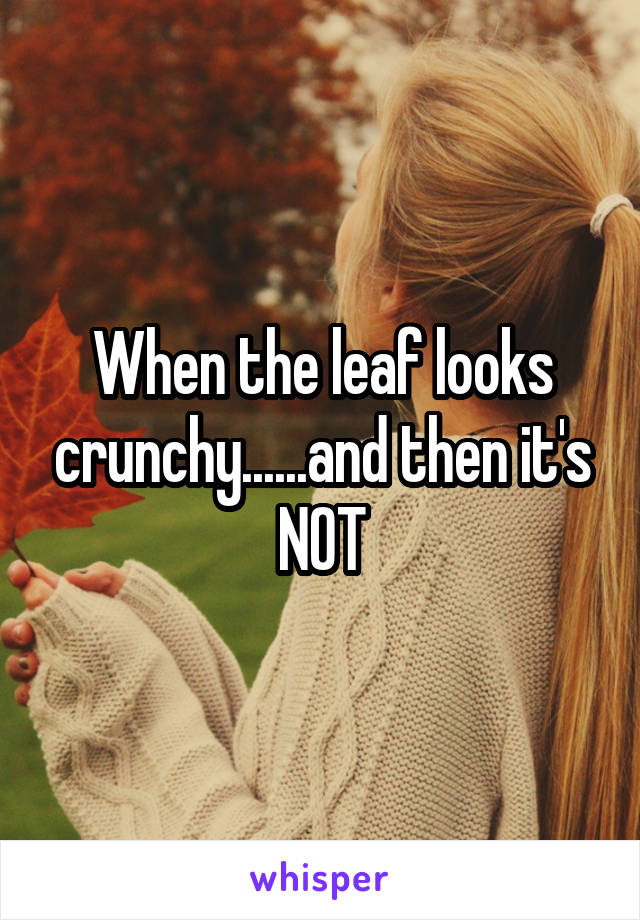 When the leaf looks crunchy......and then it's NOT