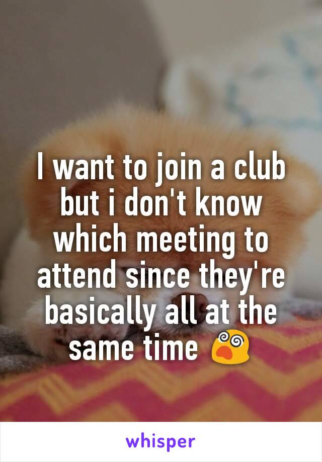 I want to join a club but i don't know which meeting to attend since they're basically all at the same time 😵