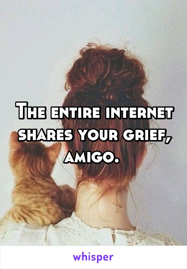 The entire internet shares your grief, amigo. 