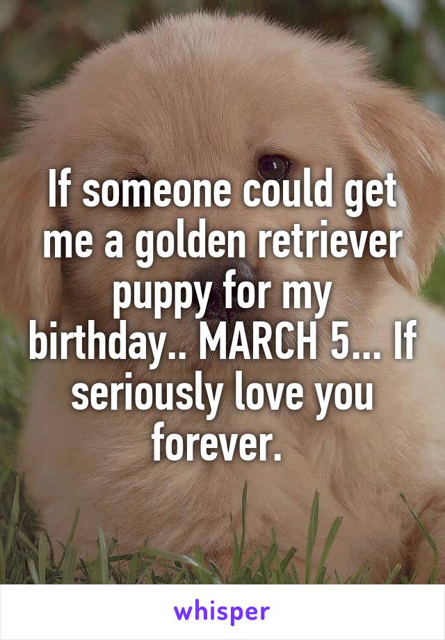 If someone could get me a golden retriever puppy for my birthday.. MARCH 5... If seriously love you forever. 