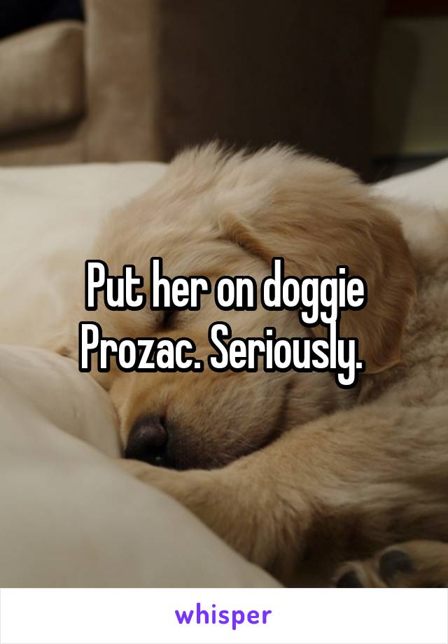 Put her on doggie Prozac. Seriously. 