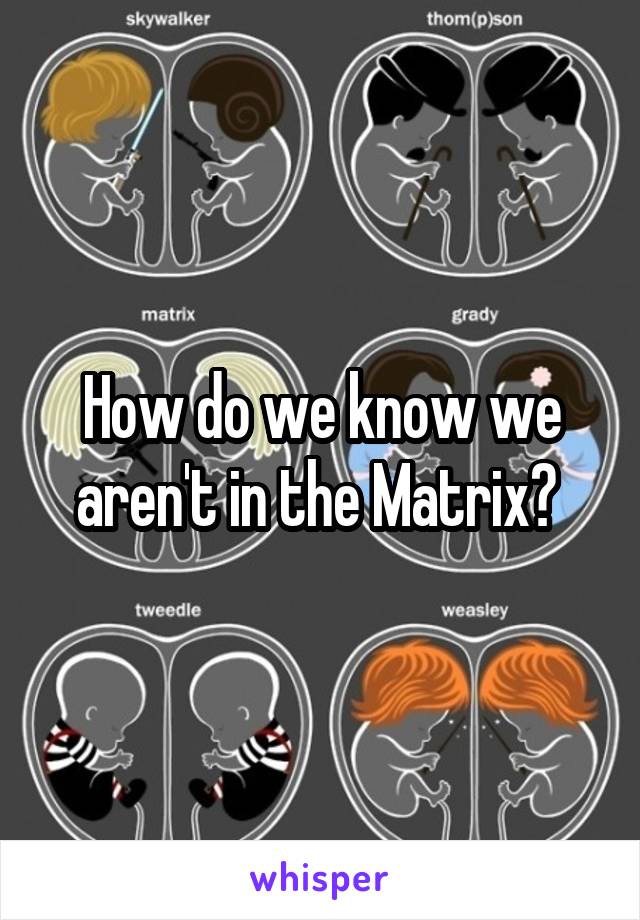 How do we know we aren't in the Matrix? 