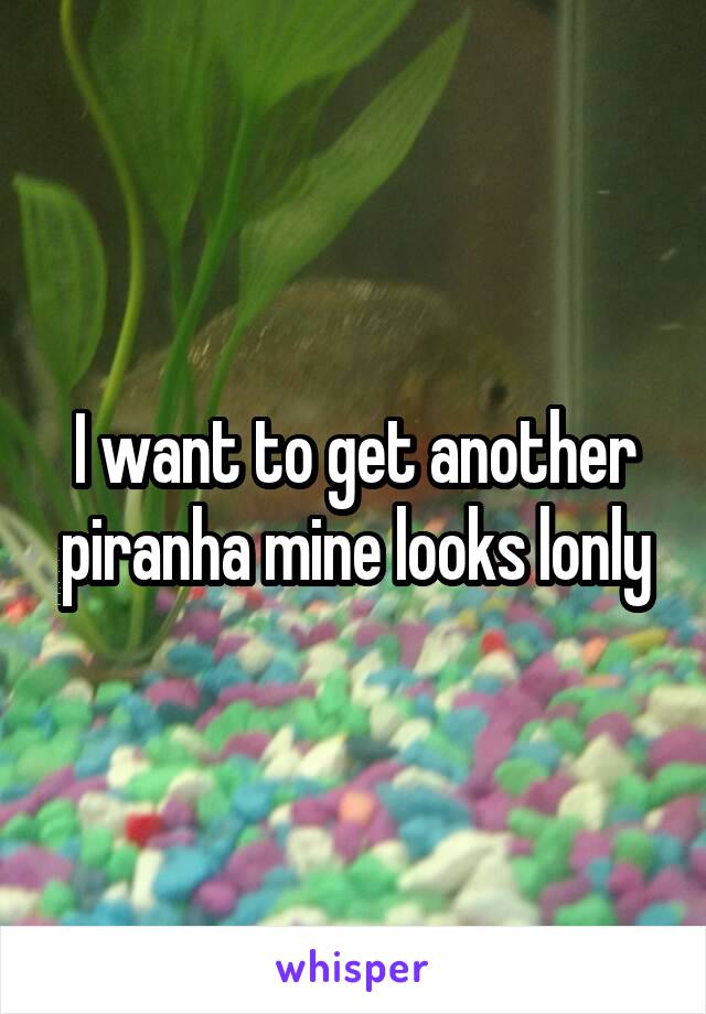 I want to get another piranha mine looks lonly