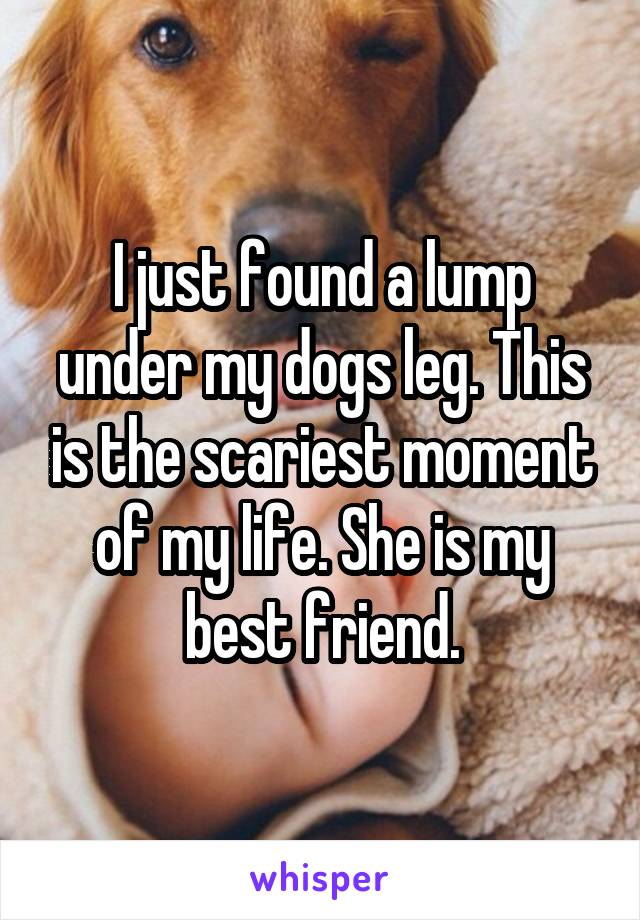 I just found a lump under my dogs leg. This is the scariest moment of my life. She is my best friend.