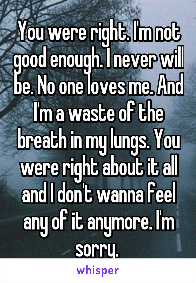 You were right. I'm not good enough. I never will be. No one loves me. And I'm a waste of the breath in my lungs. You were right about it all and I don't wanna feel any of it anymore. I'm sorry. 