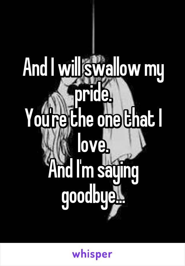 And I will swallow my pride.
You're the one that I love.
And I'm saying goodbye...