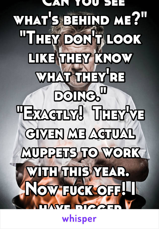 "Can you see what's behind me?"
"They don't look like they know what they're doing."
"Exactly!  They've given me actual muppets to work with this year.  Now fuck off! I have bigger problems!"