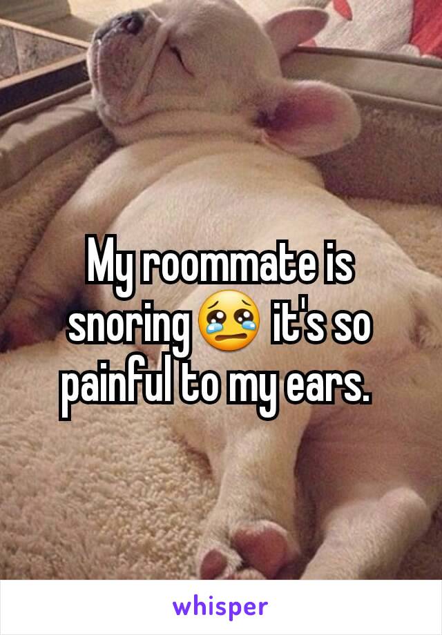 My roommate is snoring😢 it's so painful to my ears. 