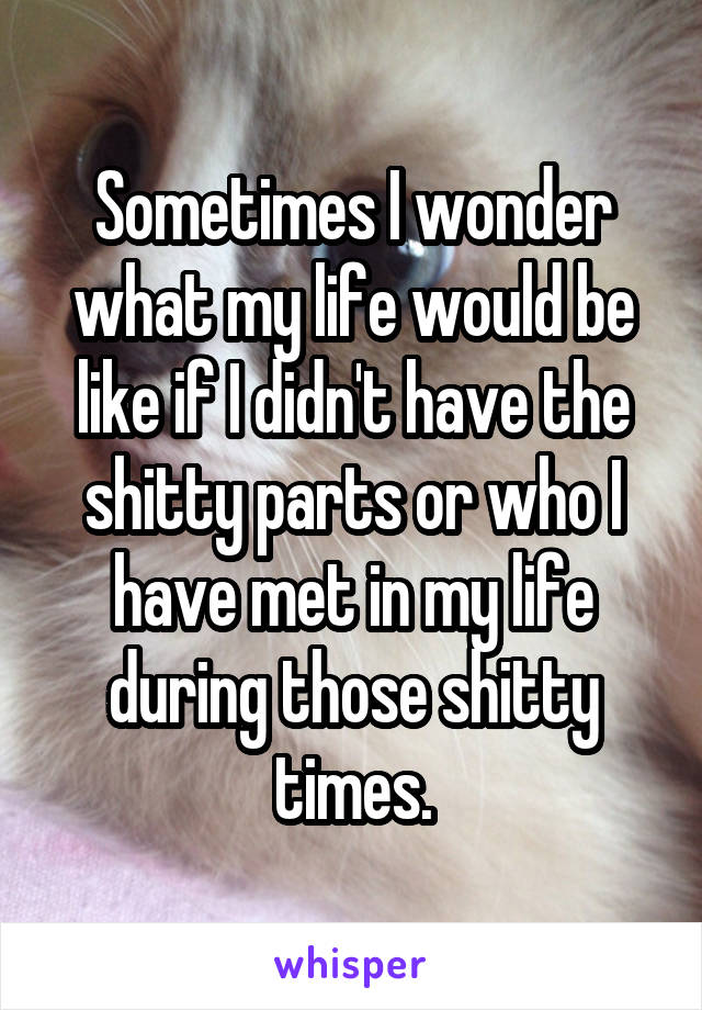 Sometimes I wonder what my life would be like if I didn't have the shitty parts or who I have met in my life during those shitty times.