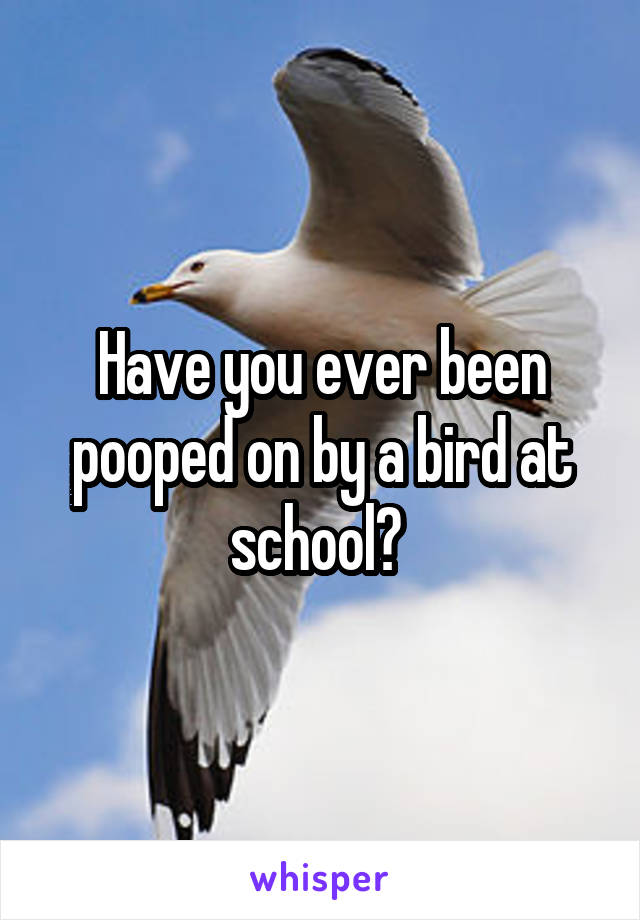 Have you ever been pooped on by a bird at school? 