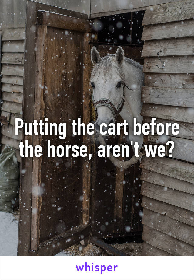 Putting the cart before the horse, aren't we?