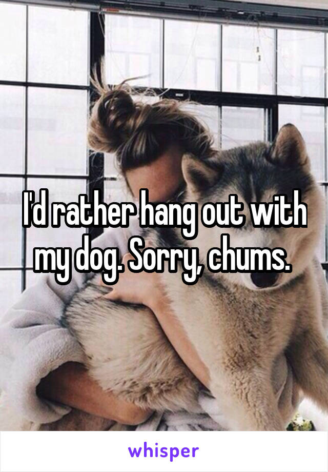 I'd rather hang out with my dog. Sorry, chums. 