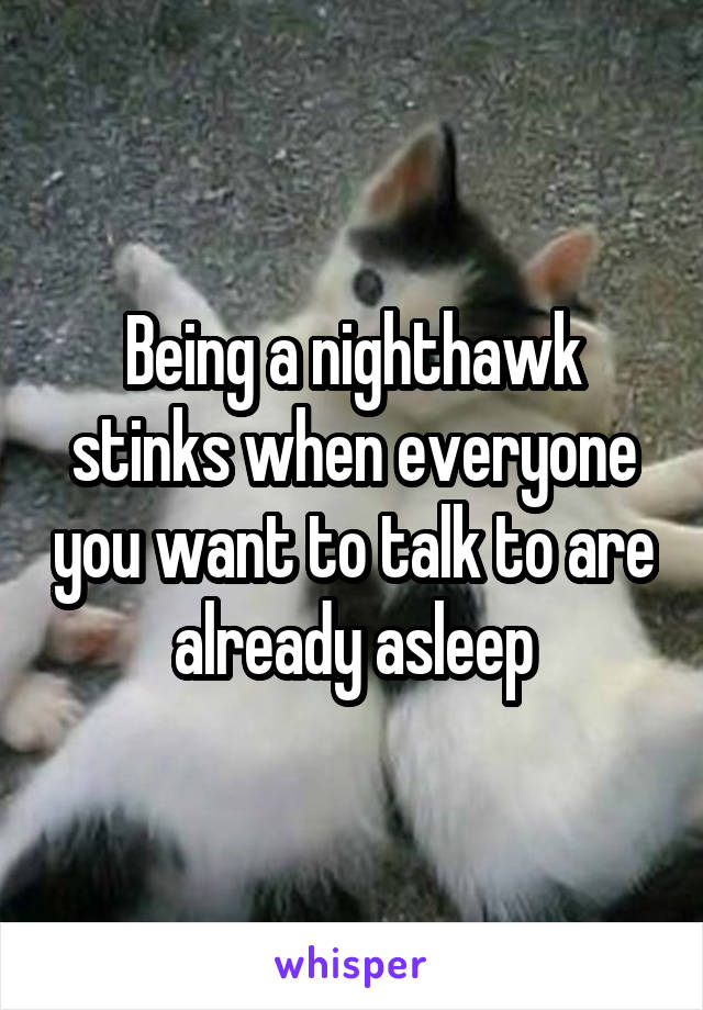 Being a nighthawk stinks when everyone you want to talk to are already asleep