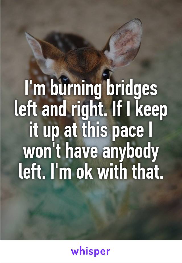 I'm burning bridges left and right. If I keep it up at this pace I won't have anybody left. I'm ok with that.