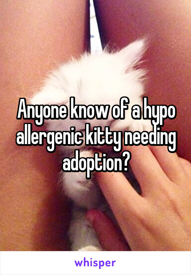 Anyone know of a hypo allergenic kitty needing adoption?