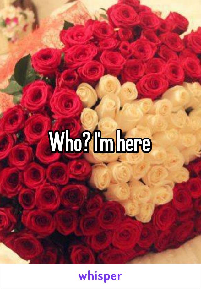 Who? I'm here 