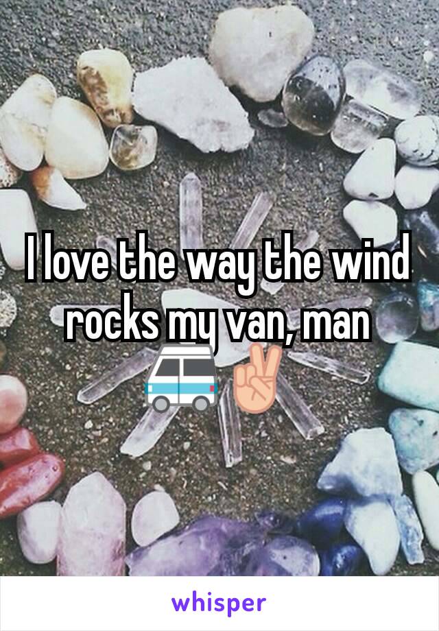 I love the way the wind rocks my van, man 🚐✌