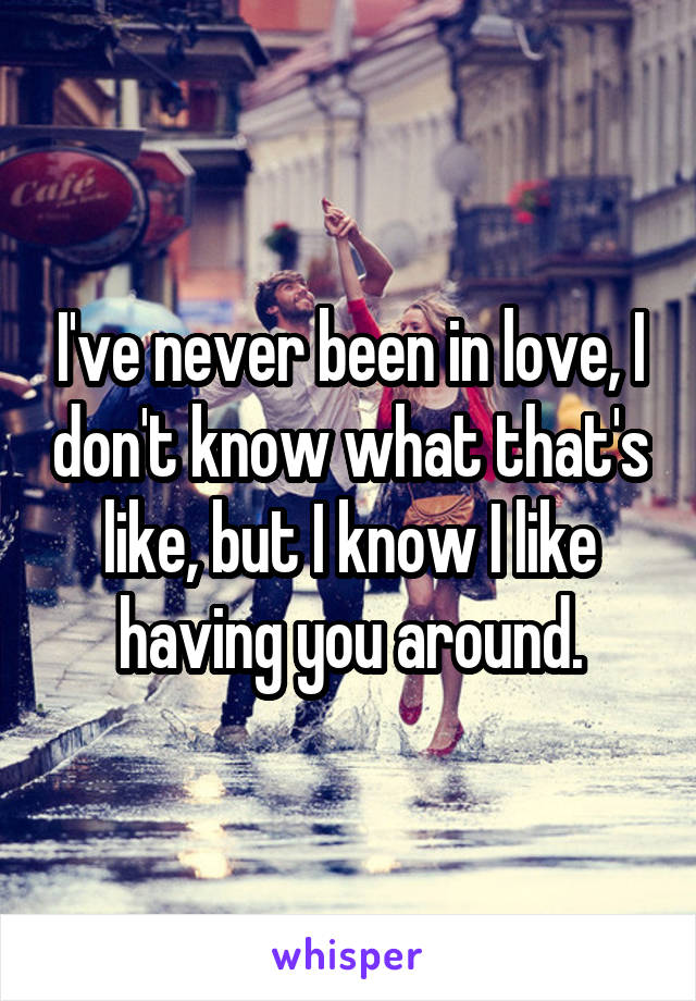 I've never been in love, I don't know what that's like, but I know I like having you around.