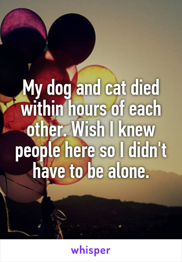 My dog and cat died within hours of each other. Wish I knew people here so I didn't have to be alone.