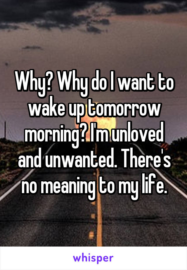 Why? Why do I want to wake up tomorrow morning? I'm unloved and unwanted. There's no meaning to my life.