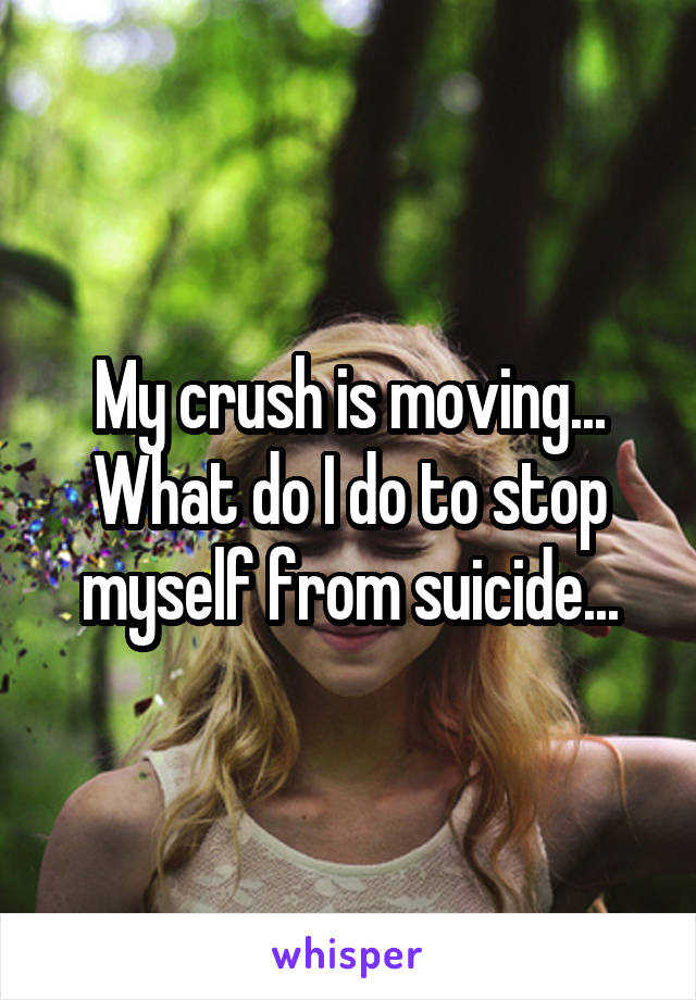 My crush is moving... What do I do to stop myself from suicide...