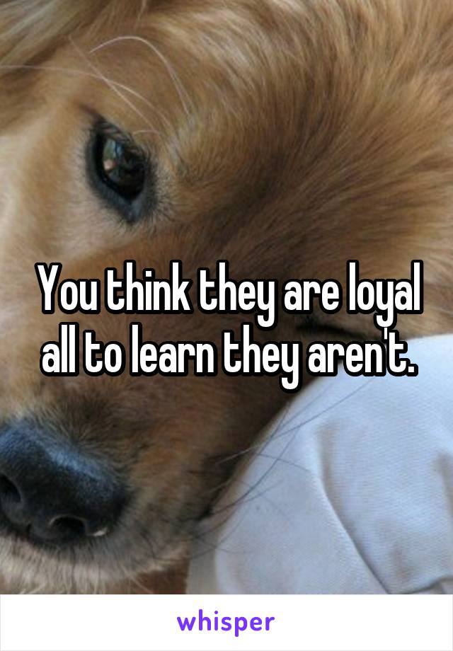 You think they are loyal all to learn they aren't.