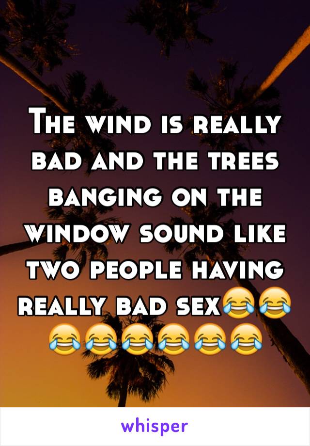 The wind is really bad and the trees banging on the window sound like two people having really bad sex😂😂😂😂😂😂😂😂