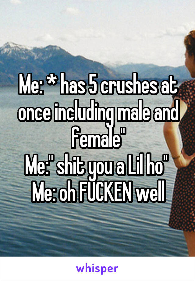 Me: * has 5 crushes at once including male and female"
Me:" shit you a Lil ho" 
Me: oh FUCKEN well