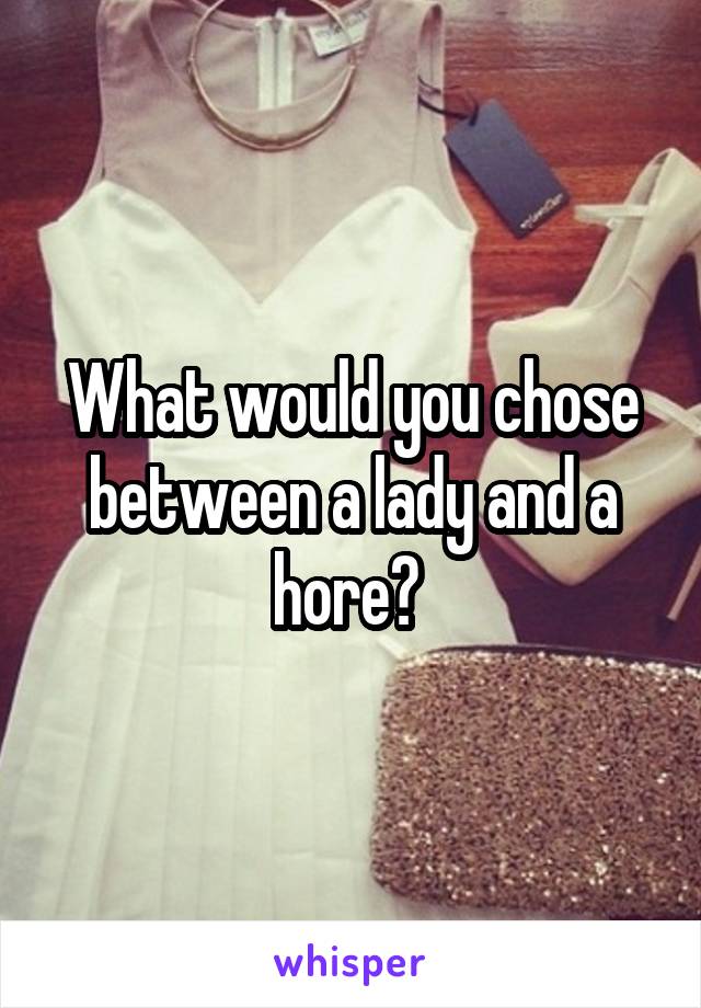 What would you chose between a lady and a hore? 