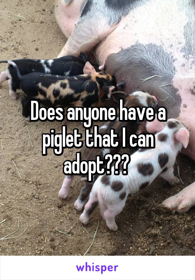 Does anyone have a piglet that I can adopt??? 