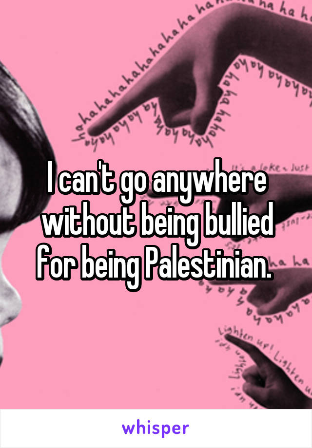 I can't go anywhere without being bullied for being Palestinian. 