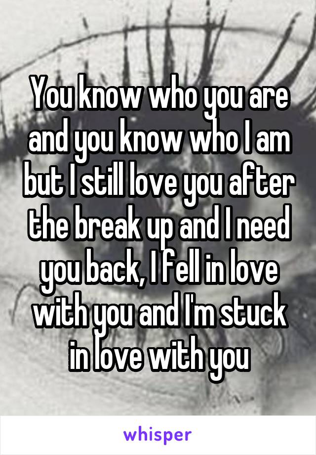 You know who you are and you know who I am but I still love you after the break up and I need you back, I fell in love with you and I'm stuck in love with you