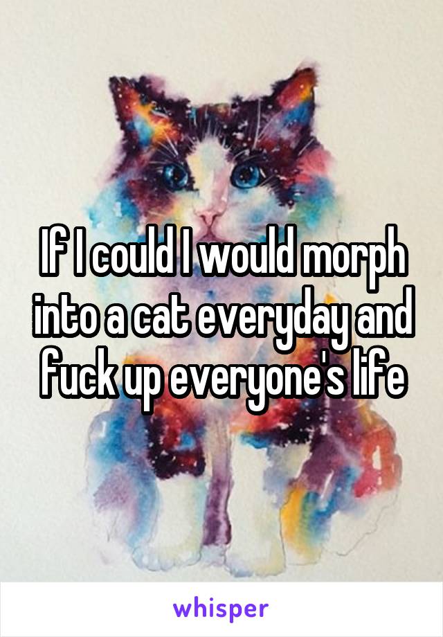 If I could I would morph into a cat everyday and fuck up everyone's life