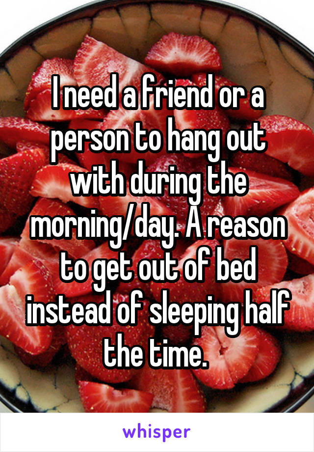 I need a friend or a person to hang out with during the morning/day. A reason to get out of bed instead of sleeping half the time. 