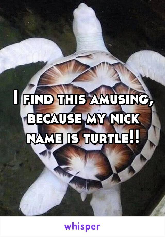 I find this amusing, because my nick name is turtle!!