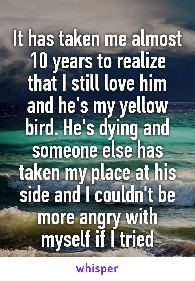 It has taken me almost 10 years to realize that I still love him and he's my yellow bird. He's dying and someone else has taken my place at his side and I couldn't be more angry with myself if I tried