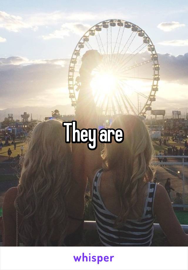 They are 