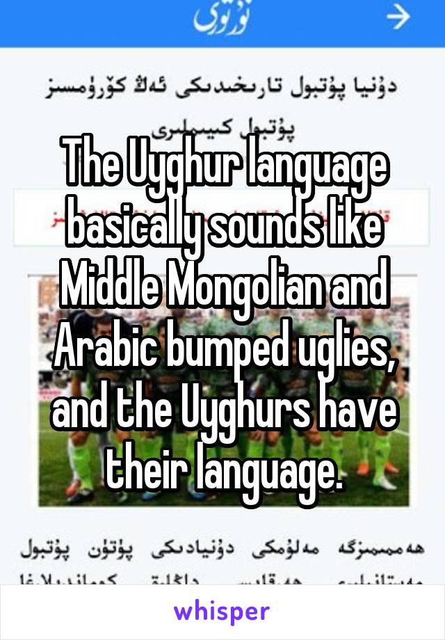 The Uyghur language basically sounds like Middle Mongolian and Arabic bumped uglies, and the Uyghurs have their language.