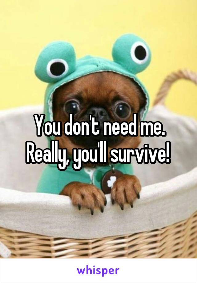 You don't need me. Really, you'll survive! 