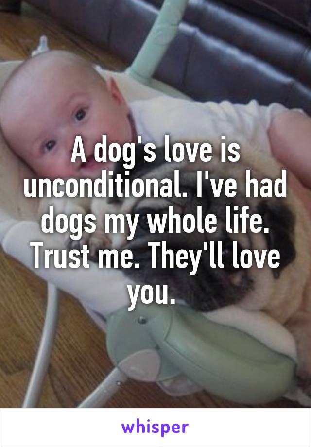 A dog's love is unconditional. I've had dogs my whole life. Trust me. They'll love you. 