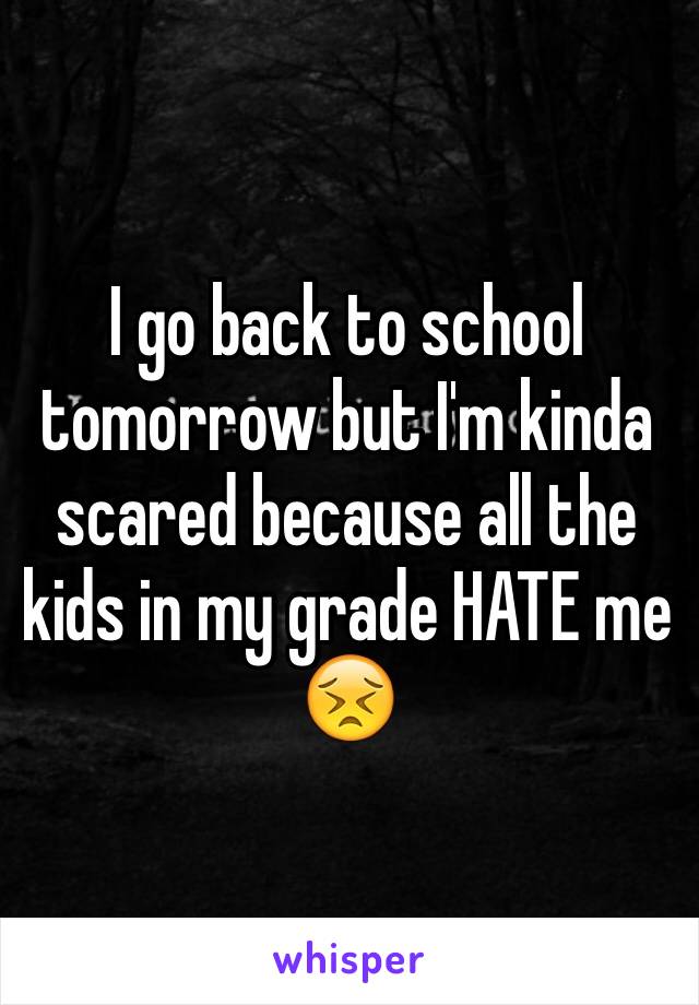 I go back to school tomorrow but I'm kinda scared because all the kids in my grade HATE me 😣