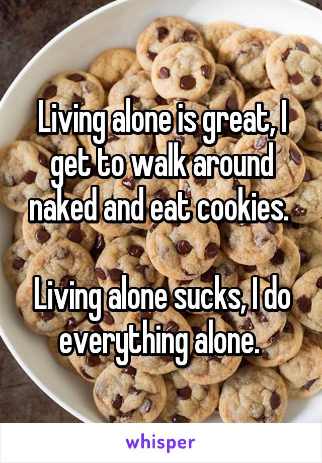 Living alone is great, I get to walk around naked and eat cookies. 

Living alone sucks, I do everything alone. 