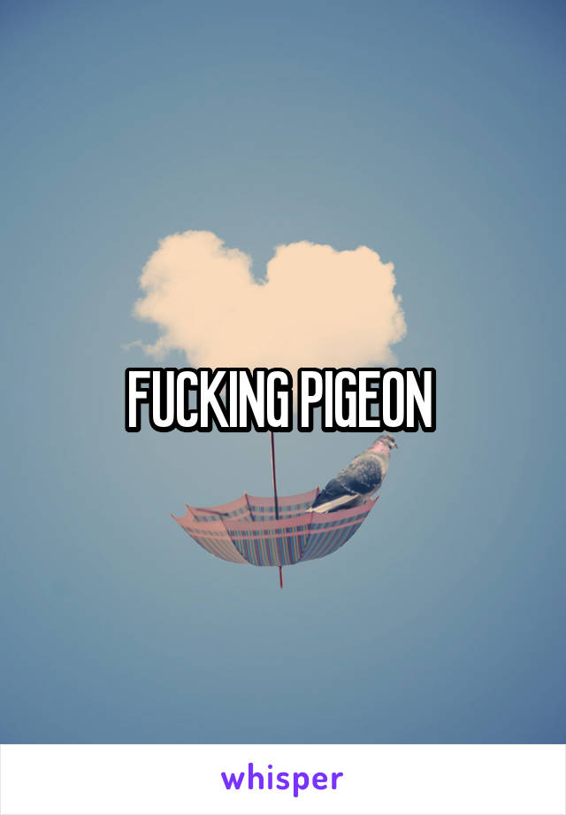 FUCKING PIGEON 